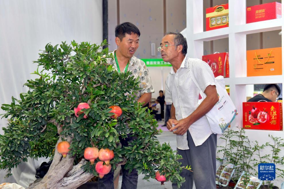 巴黎人网首页